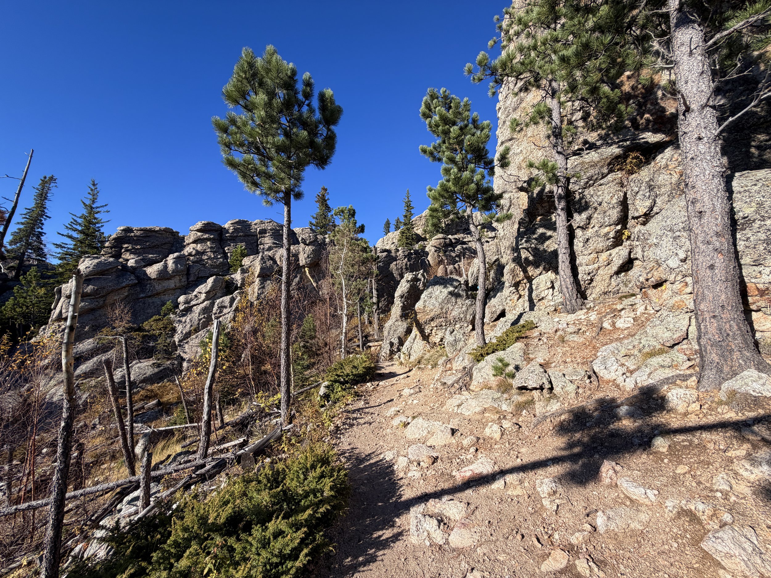Hiking the Little Devils Tower Trail in Custer State Park in the